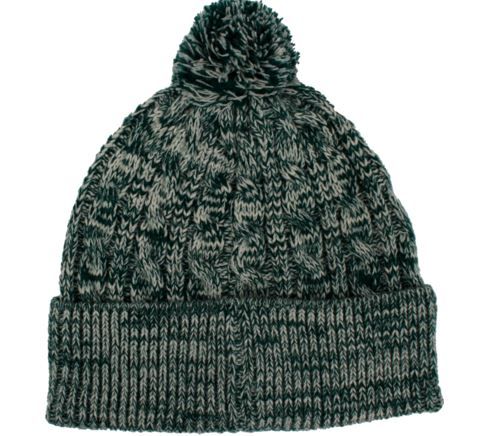 aspen beanie